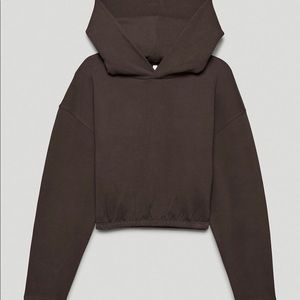 Aritzia Abades Hoodie (The Group by Babaton)